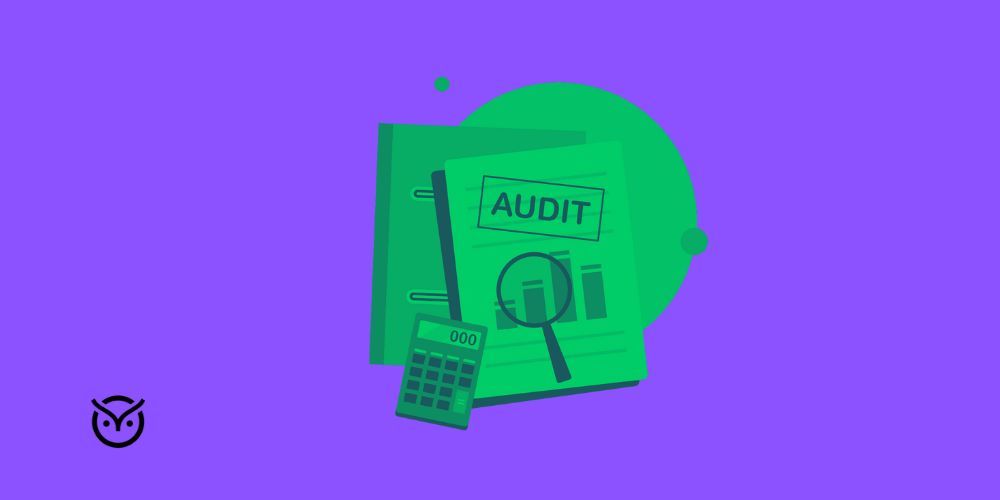 illustration of audits