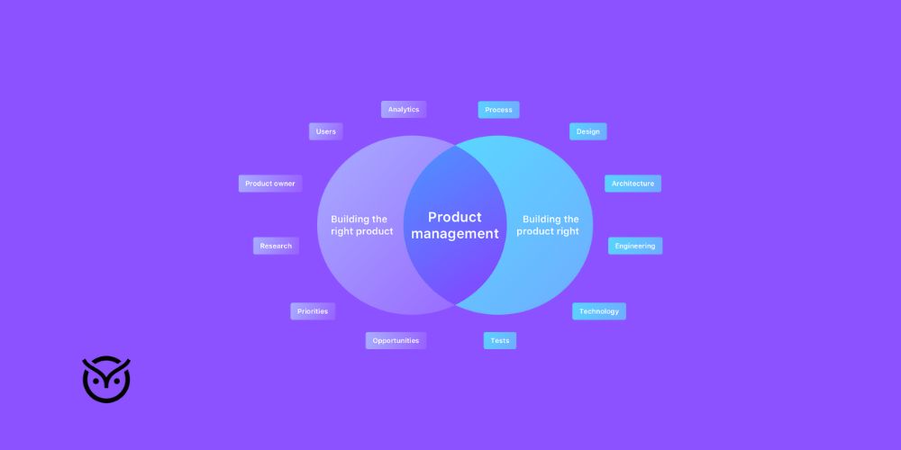 product management diagram
